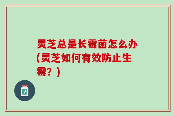 灵芝总是长霉菌怎么办(灵芝如何有效防止生霉？)
