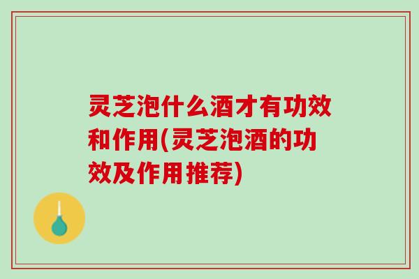 灵芝泡什么酒才有功效和作用(灵芝泡酒的功效及作用推荐)