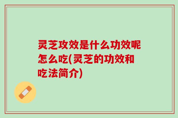 灵芝攻效是什么功效呢怎么吃(灵芝的功效和吃法简介) 灵芝攻效是什么功效呢怎么吃(灵芝的功效和吃法简介)