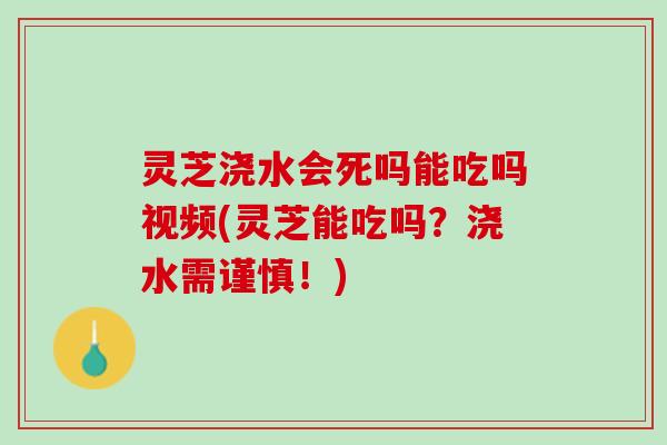灵芝浇水会死吗能吃吗视频(灵芝能吃吗？浇水需谨慎！)