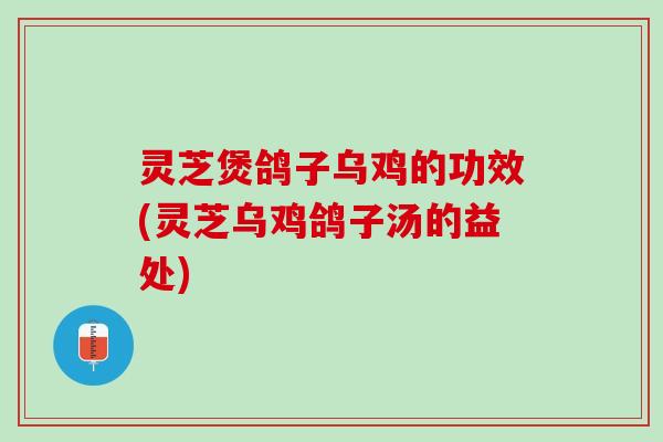 灵芝煲鸽子乌鸡的功效(灵芝乌鸡鸽子汤的益处)