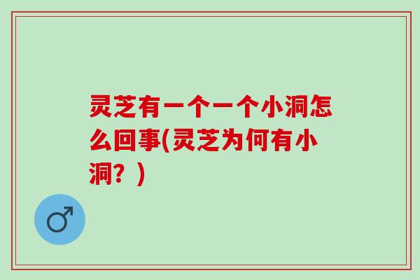 灵芝有一个一个小洞怎么回事(灵芝为何有小洞？)