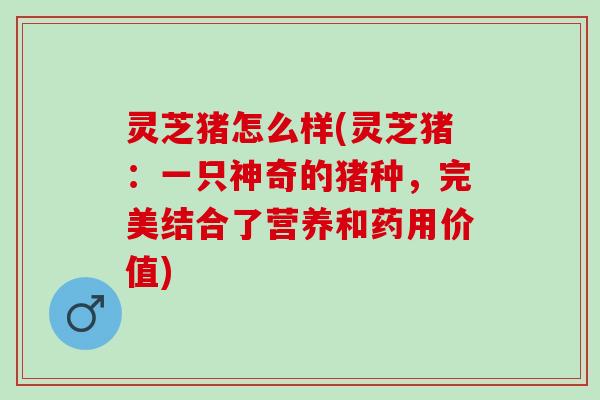 灵芝猪怎么样(灵芝猪：一只神奇的猪种，完美结合了营养和药用价值)