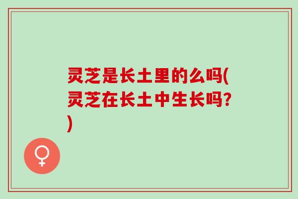 灵芝是长土里的么吗(灵芝在长土中生长吗？)