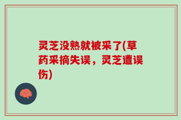 灵芝没熟就被采了(草药采摘失误，灵芝遭误伤)