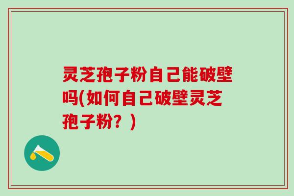 灵芝孢子粉自己能破壁吗(如何自己破壁灵芝孢子粉?) 灵芝孢子粉自己能破壁吗(如何自己破壁灵芝孢子粉?)
