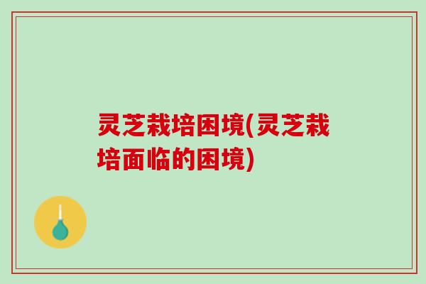 灵芝栽培困境(灵芝栽培面临的困境)