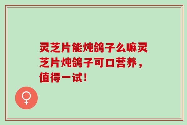 灵芝片能炖鸽子么嘛灵芝片炖鸽子可口营养，值得一试！