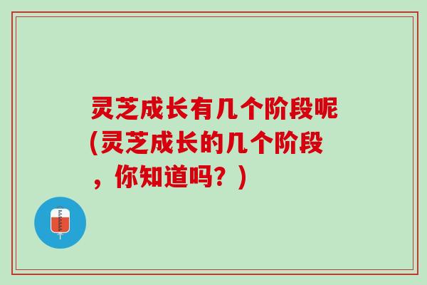 灵芝成长有几个阶段呢(灵芝成长的几个阶段,你知道吗?) 灵芝成长有几个阶段呢(灵芝成长的几个阶段,你知道吗?)