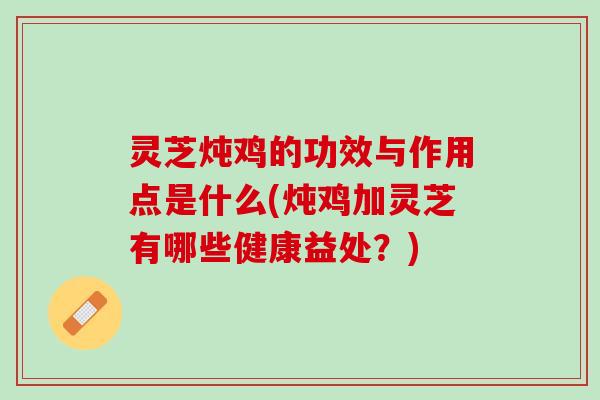 灵芝炖鸡的功效与作用点是什么(炖鸡加灵芝有哪些健康益处？)