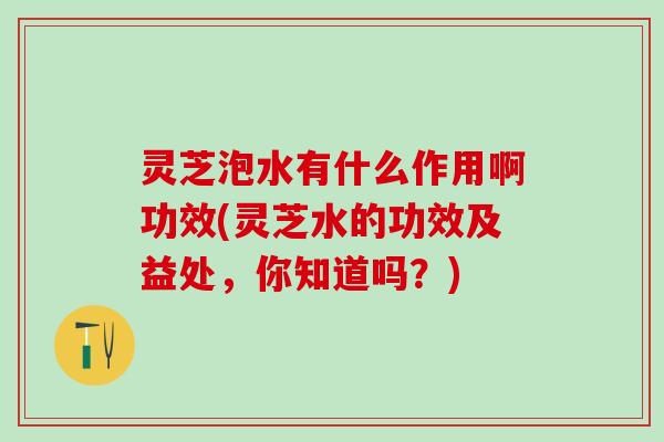 灵芝泡水有什么作用啊功效(灵芝水的功效及益处，你知道吗？)