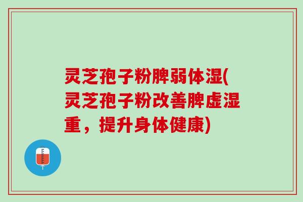 灵芝孢子粉脾弱体湿(灵芝孢子粉改善脾虚湿重，提升身体健康)