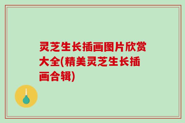 灵芝生长插画图片欣赏大全(精美灵芝生长插画合辑)