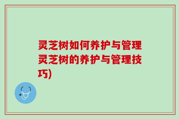 灵芝树如何养护与管理灵芝树的养护与管理技巧) 灵芝树如何养护与管理灵芝树的养护与管理技巧)