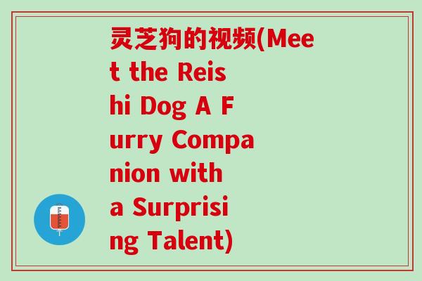 灵芝狗的视频(Meet the Reishi Dog A Furry Companion with a Surprising Talent)