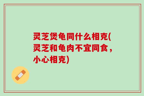 灵芝煲龟同什么相克(灵芝和龟肉不宜同食，小心相克)