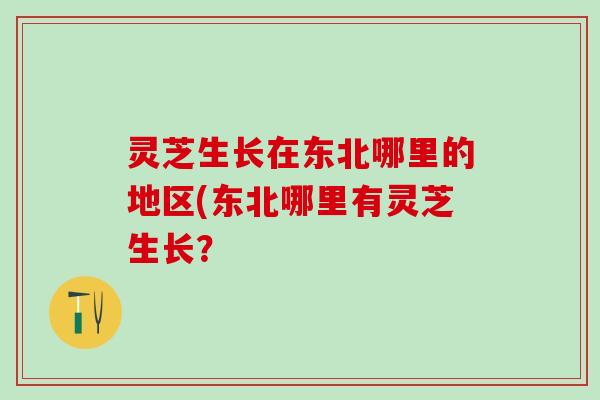 灵芝生长在东北哪里的地区(东北哪里有灵芝生长？
