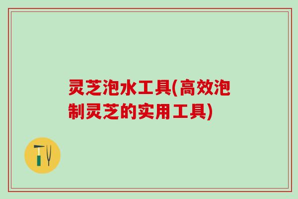 灵芝泡水工具(高效泡制灵芝的实用工具)