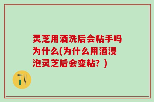 灵芝用酒洗后会粘手吗为什么(为什么用酒浸泡灵芝后会变粘？)