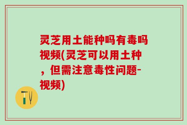 灵芝用土能种吗有毒吗视频(灵芝可以用土种,但需注意毒性问题-视频) 灵芝用土能种吗有毒吗视频(灵芝可以用土种,但需注意毒性问题-视频)