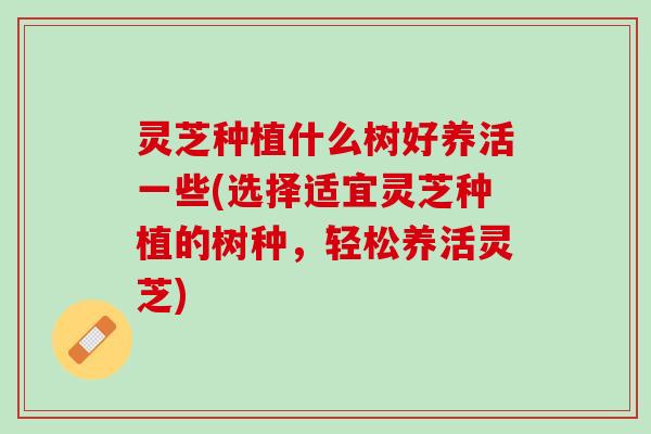 灵芝种植什么树好养活一些(选择适宜灵芝种植的树种，轻松养活灵芝)