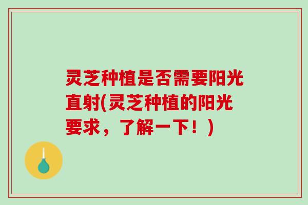 灵芝种植是否需要阳光直射(灵芝种植的阳光要求，了解一下！)