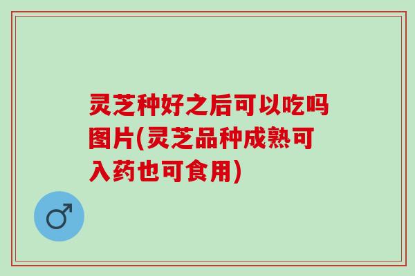 灵芝种好之后可以吃吗图片(灵芝品种成熟可入药也可食用)