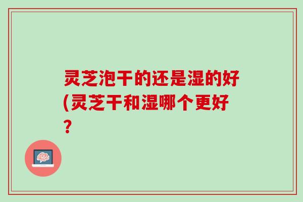 灵芝泡干的还是湿的好(灵芝干和湿哪个更好？