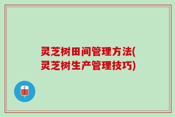 灵芝树田间管理方法(灵芝树生产管理技巧)