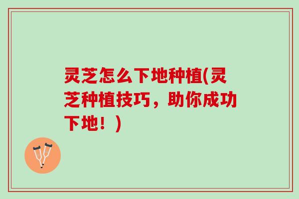 灵芝怎么下地种植(灵芝种植技巧，助你成功下地！)