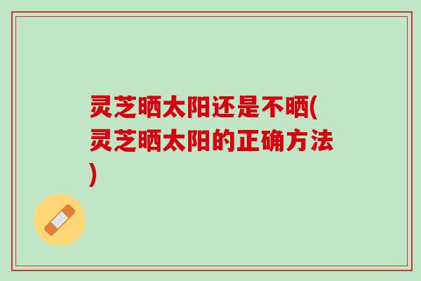 灵芝晒太阳还是不晒(灵芝晒太阳的正确方法)