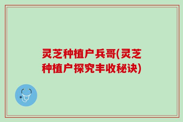 灵芝种植户兵哥(灵芝种植户探究丰收秘诀)