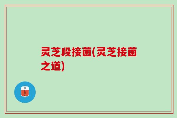 灵芝段接菌(灵芝接菌之道)