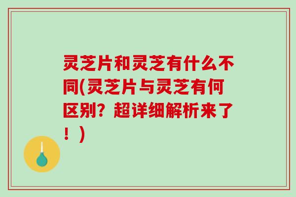 灵芝片和灵芝有什么不同(灵芝片与灵芝有何区别？超详细解析来了！)