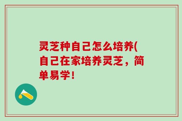 灵芝种自己怎么培养(自己在家培养灵芝，简单易学！