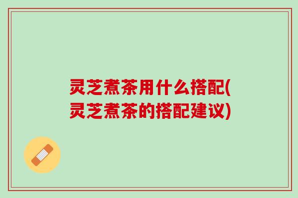 灵芝煮茶用什么搭配(灵芝煮茶的搭配建议)
