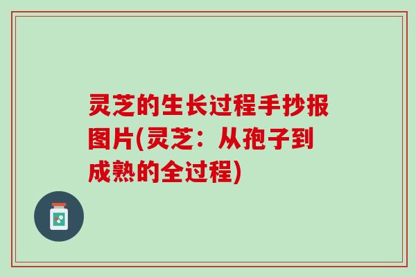 灵芝的生长过程手抄报图片(灵芝:从孢子到成熟的全过程) 灵芝的生长过程手抄报图片(灵芝:从孢子到成熟的全过程)