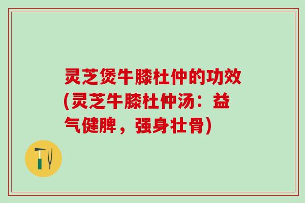 灵芝煲牛膝杜仲的功效(灵芝牛膝杜仲汤：益气健脾，强身壮骨)
