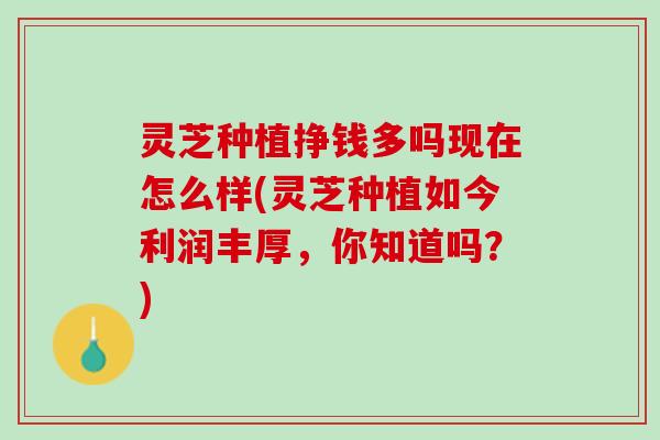 灵芝种植挣钱多吗现在怎么样(灵芝种植如今利润丰厚,你知道吗?) 灵芝种植挣钱多吗现在怎么样(灵芝种植如今利润丰厚,你知道吗?)