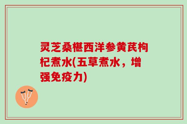 灵芝桑椹西洋参黄芪枸杞煮水(五草煮水，增强免疫力)