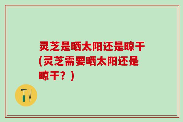 灵芝是晒太阳还是晾干(灵芝需要晒太阳还是晾干？)