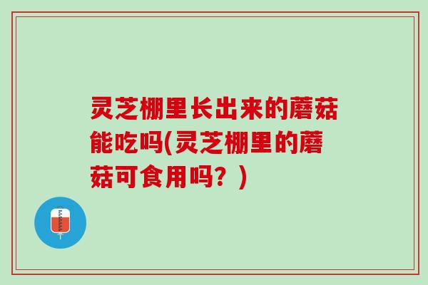 灵芝棚里长出来的蘑菇能吃吗(灵芝棚里的蘑菇可食用吗？)