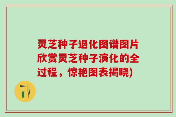 灵芝种子退化图谱图片欣赏灵芝种子演化的全过程，惊艳图表揭晓)