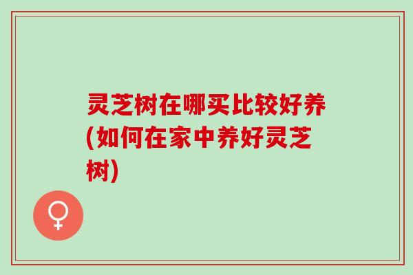 灵芝树在哪买比较好养(如何在家中养好灵芝树)