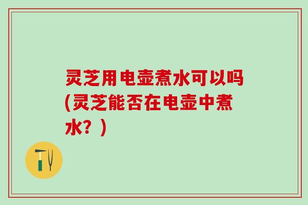 灵芝用电壶煮水可以吗(灵芝能否在电壶中煮水？)