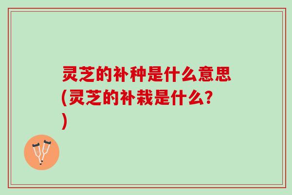 灵芝的补种是什么意思(灵芝的补栽是什么？)
