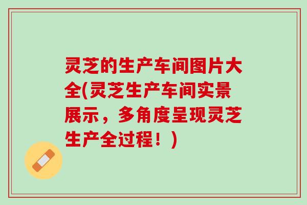 灵芝的生产车间图片大全(灵芝生产车间实景展示，多角度呈现灵芝生产全过程！)