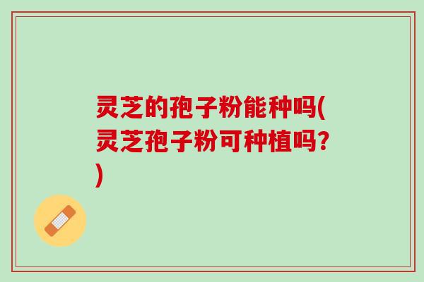 灵芝的孢子粉能种吗(灵芝孢子粉可种植吗？)