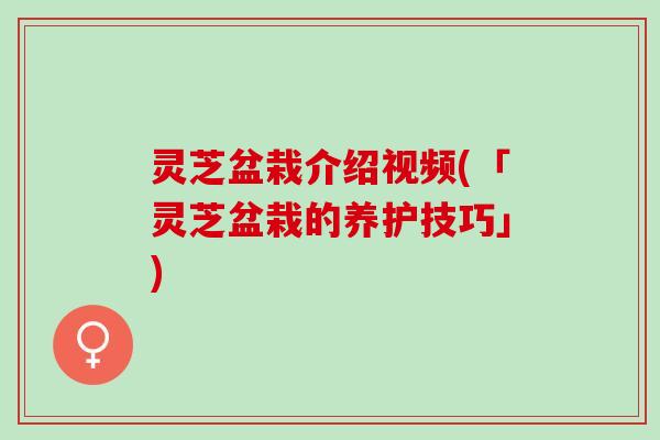 灵芝盆栽介绍视频(「灵芝盆栽的养护技巧」)