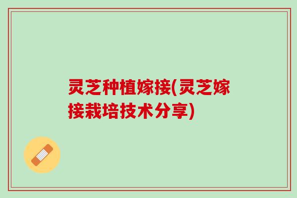 灵芝种植嫁接(灵芝嫁接栽培技术分享) 灵芝种植嫁接(灵芝嫁接栽培技术分享)